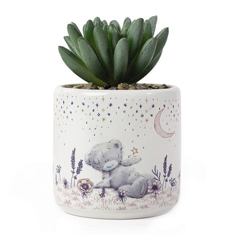 Artificial Me to You Bear Succulent Plant £5.99